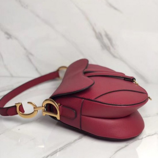 Dior Saddle Bag