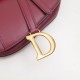 Dior Saddle Bag