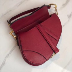 Dior Saddle Bag