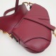 Dior Saddle Bag