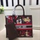 Dior Book Tote  Bag