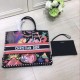 Dior Book Tote  Bag