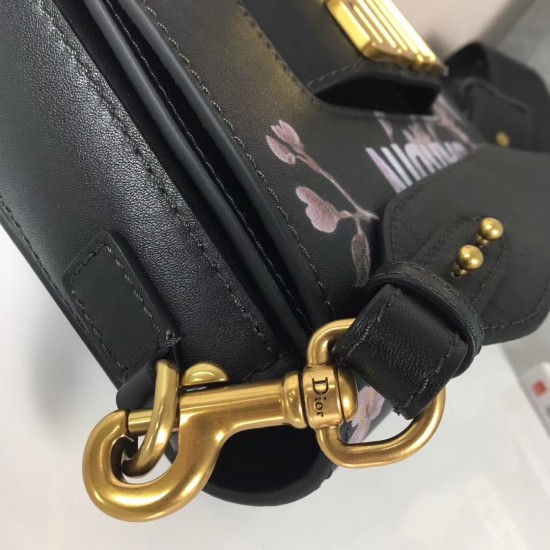 Dior Evolution Bag