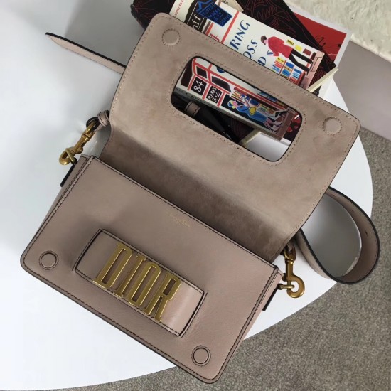 Dior Evolution Bag