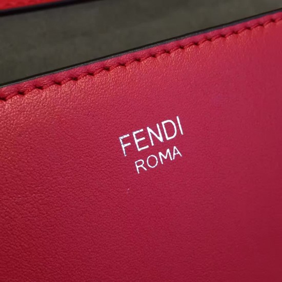 FENDI KANI