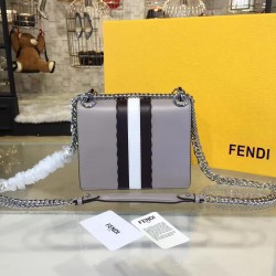 FENDI KANI