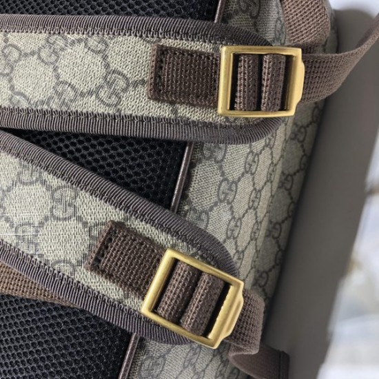 Gucci Ophidia Backpack