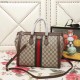 Gucci Ophidia Handbag