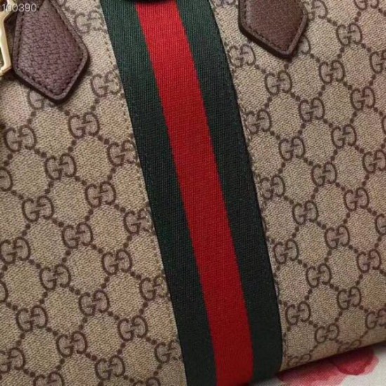 Gucci Ophidia Handbag