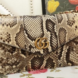 Gucci double shoulder bag