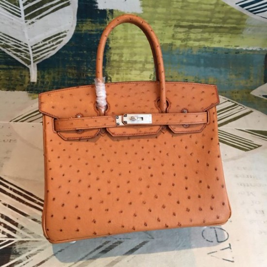 Hermes birkin