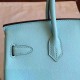 Hermes birkin 25