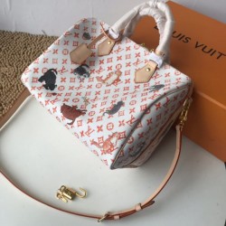 Louis Vuitton Speedy 30