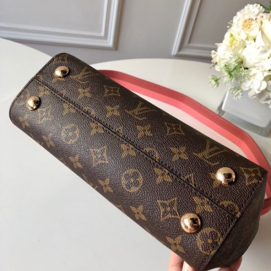 LOUIS VUITTON Cluny BB