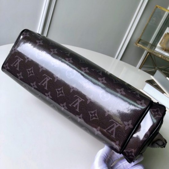 LOUIS VUITTON Camera Bag