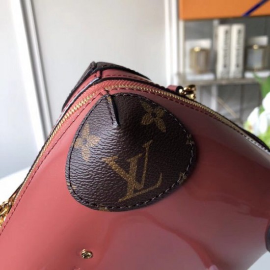 LOUIS VUITTON Venice Bag