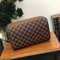 Louis Vuitton Cosmetic bag