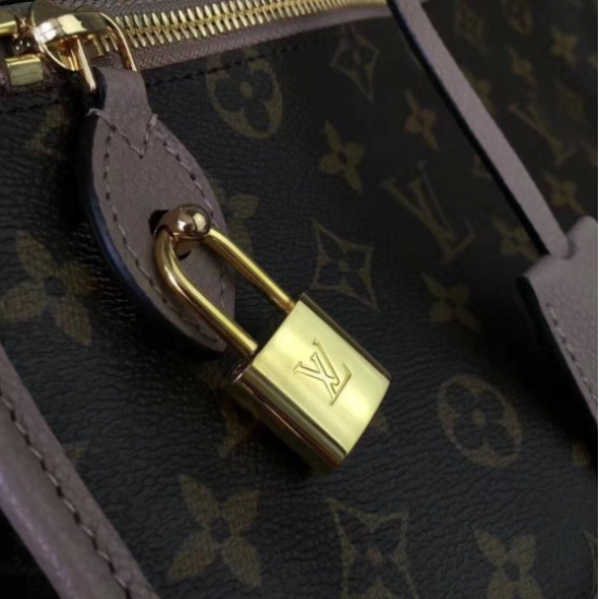 LOUIS VUITTON POPINCOURT BAG