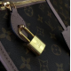 LOUIS VUITTON POPINCOURT BAG