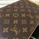 Louis Vuitton shoulder bag