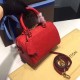 LOUIS VUITTON SPEEDY 20